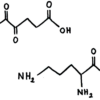 L-Ornithine Alpha Ketoglutarate 1:1