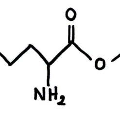 Ester etylowy argininy, chlorowodorek