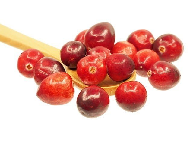 Cranberry extract 5% PAC
