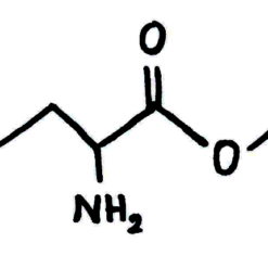 L-ornithine ethyl ester