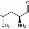 L-leucine chemical formula