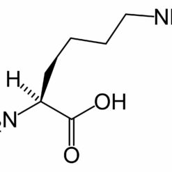 L-赖氨酸