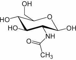 wzór chemiczny N-acetyloglukozaminy