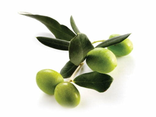 Wosk oliwkowy