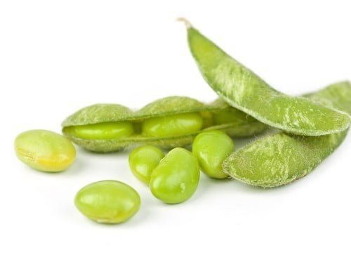Cire de soya naturelle Goldenwax - Vert Essentiel
