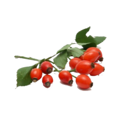 Hagebuttenkern-Peeling