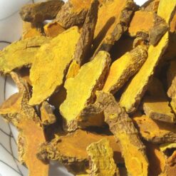 Curcuma longa