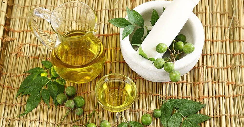 The Power of Neem Oil in Africa