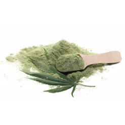 hemp protein