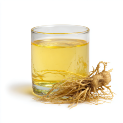 글리세린-수성 치커리 추출물