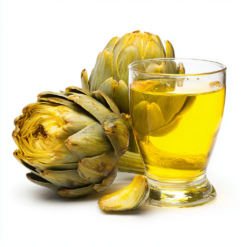 ekstrakt glicerynowo-wodny z karczocha