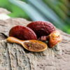 Reishi (Ganoderma lucidum).