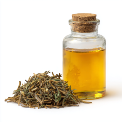 Estratto oleoso di rosmarino in olio di girasole