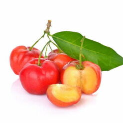 acerola extract
