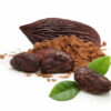 cocoa extract