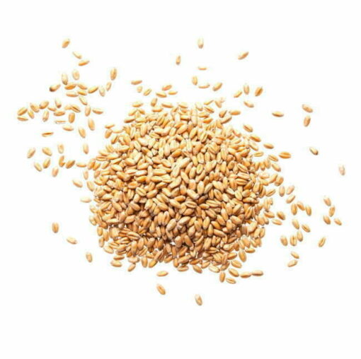 oat extract