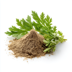 proszkowy ekstrakt z piołunu