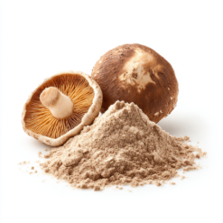 Proszkowy ekstrakt z grzyba shiitake (Lentinus edodes)