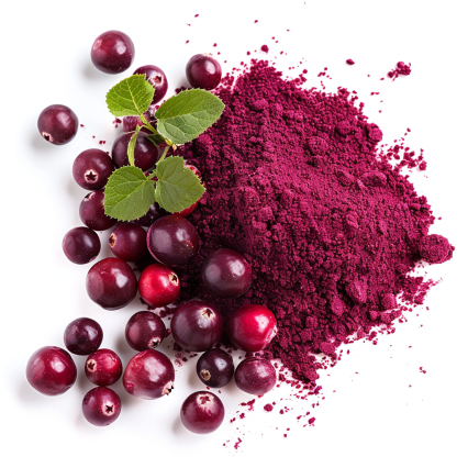 Cranberry extract 5% PAC