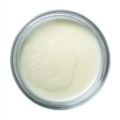 Ferment Aureobasidium pullulans