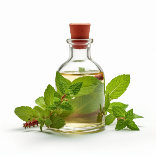 fermented peppermint extract
