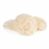 fungo tremella