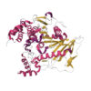 lipase