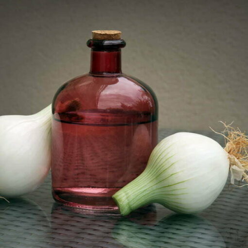 onion seed oil