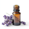 라벤더 에센셜 오일