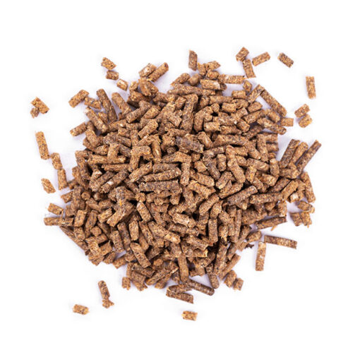 rodent pellets