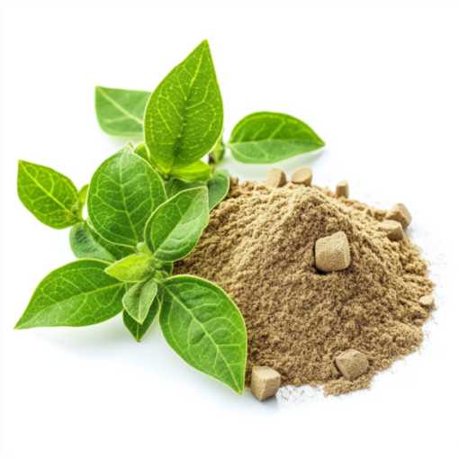 Gymnema sylvestre (Gurmar) - POLISH DISTRIBUTOR OF RAW MATERIALS