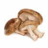 shiitake