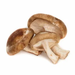 Medicinal mushrooms in Chinese medicine - POLISH DISTRIBUTOR OF RAW  MATERIALS