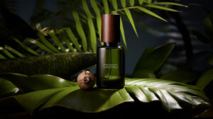 tamanu oil